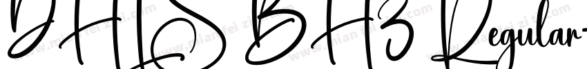 DHLS BH3 Regular字体转换